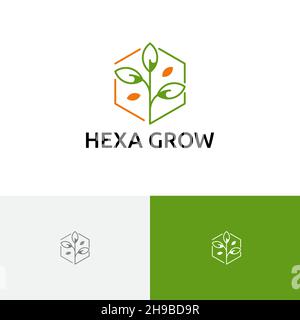 Hexagon Grow Plant Seed Nature Agriculture Logo Stock Vector