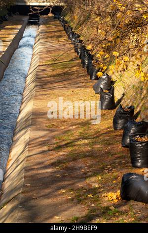 Bagged leaves in black plastic bags full of dried leaves lined and ready for collection by a river canal in downtown Sofia Bulgaria, Eastern Europe Stock Photo