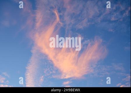 Wispy cloud formation with the morning sun lighting up the clouds with an orange tint. Stock Photo