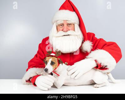 Santa claus and jack russell terrier dog dressed as a reindeer, santa's helper on a white background. Stock Photo