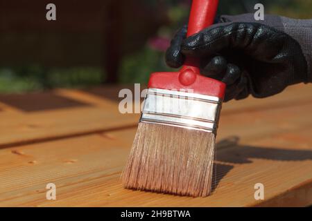 Painting or staining wooden terrace floor. Red brush, close-up. Stock Photo