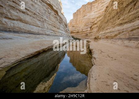 Ein Avdat, sweet water spring in the negev desert, israel Stock Photo