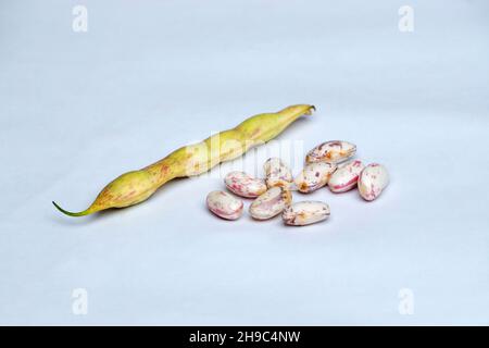 Rajma beans or red kidney beans in white background, Satara, Maharashtra, India Stock Photo