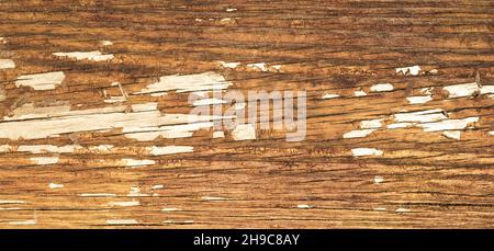 Old wood texture background, perfect natural pattern. Stock Photo