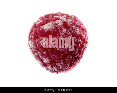 Frozen raspberry, isolated on white, macro close-up side view Stock Photo
