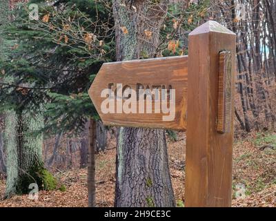 Wooden road path sign showing the way of eco path in the forest Stock Photo