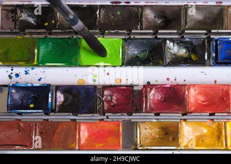The artist applies green watercolor paint on an art brush. Drawing with watercolors in a home art studio. Stock Photo