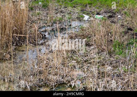 Dirty water. Ecological catastrophe, the river is polluted with rubbish by plastic bottles with wheel tires, engine oil. Stock Photo