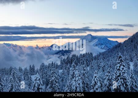 Fantastic evening landscape in the mountains with dramatic winter scene with snowy trees, Krvavec, Slovenia, Europe Stock Photo