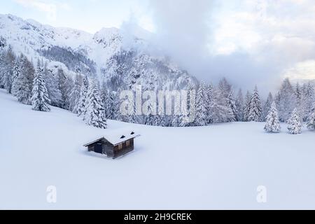 Wooden cabin in fantastic winter scene with snowy trees, Krvavec, Slovenia, Europe Stock Photo