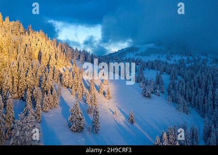 Evening winter landscape in the mountains, pine tree forest on sunset. Snow covered hills. Snowy backcountry ski slopes, Krvavec, Slovenia Stock Photo