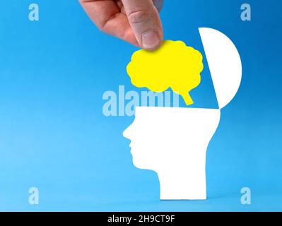 Hand putting brain in open head on blue background, New and creative thinking conceptual image with copy space Stock Photo
