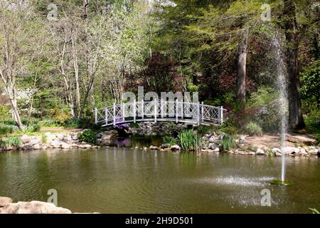 Sayen Park Botanical Gardens, public park Hamilton, NJ, USA Stock Photo