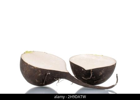 Two halves of ripe juicy black radish, close-up, isolated on white. Stock Photo