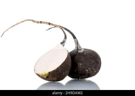 Two halves of ripe juicy black radish, close-up, isolated on white. Stock Photo