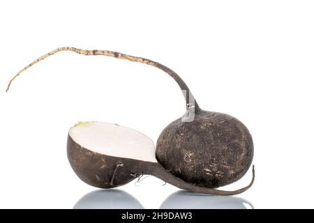 One half and one whole ripe juicy black radish, close-up, isolated on white. Stock Photo