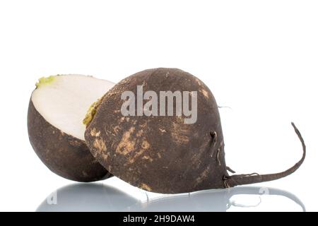Two halves of ripe juicy black radish, close-up, isolated on white. Stock Photo