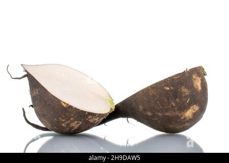 Two halves of ripe juicy black radish, close-up, isolated on white. Stock Photo