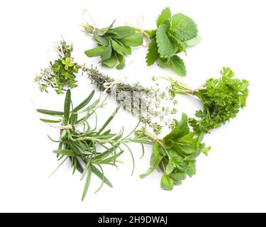 herbs, different spices, mix, circle, side by side, herb garden, together, thyme, sage, mint, peppermint, lemon balm, rosemary, parsley, green, many, Stock Photo