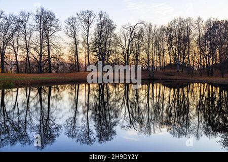 pond in the park with trees reflection from a beautiful sunset Stock Photo