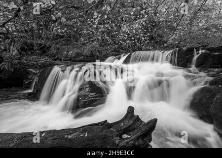 Black and white photo of a waterfall on the Hoar Oak Water river at Watersmmet in Exmoor National Park Stock Photo