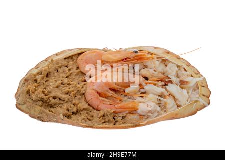 Traditional dressed crab served in its shell  - white background Stock Photo