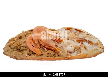 Traditional dressed crab served in its shell  - white background Stock Photo