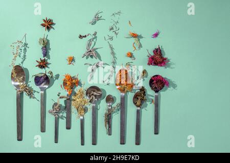 Assortment of dried relaxing tea herbs in spoons on mint green background. Calendula, mint, anise hyssop, monarda didyma, wormwood, sage leaves. Stock Photo