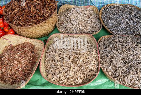 Small dried fish and insects displayed in straw baskets on food market at Ranohira, Madagascar Stock Photo