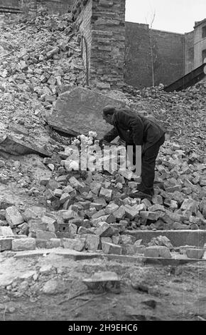 Warszawa, 1947-11-01. Dzieñ Wszystkich Œwiêtych. Nz. mê¿czyzna sk³ada kwiaty na grobie wœród ruin. ps/gr  PAP      Warsaw, Nov. 1, 1947. All Saints' Day.  Pictured: a man lies flowers among the ruins.   ps/gr  PAP Stock Photo