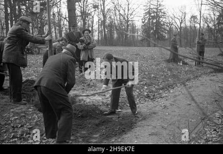 Warszawa, 1947-11. Prezydent Boles³aw Bierut bierze udzia³ w spo³ecznej akcji jesiennego sadzenia drzew w Parku Natoliñskim. Nz. m.in. Boles³aw Bierut (P), sekretarka prezydenta Wanda Górska (2L). W g³êbi ekipa Polskiej Kroniki Filmowej: W³adys³aw Forbert (z kamer¹). po/mgs  PAP    Dok³adny dzieñ wydarzenia nieustalony.      Warsaw, Nov. 1947. President Boleslaw Bierut taking part in an autumn tree planting social campaign in Natolin Park. Pictured: President Bierut (right) Bierut's secretary Wanda Gorska (2nd left). In the abckground the crew of the Polish Newsreel: Wladyslaw Forbert (with a