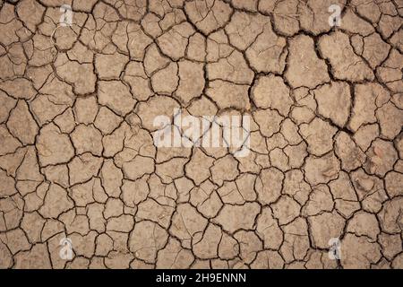 Dry mud cracked ground texture. Bottom of a dried-up river Stock Photo