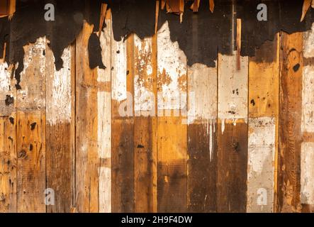 Layers of Building surfaces on rustic cabin in Big Bend National Park Stock Photo