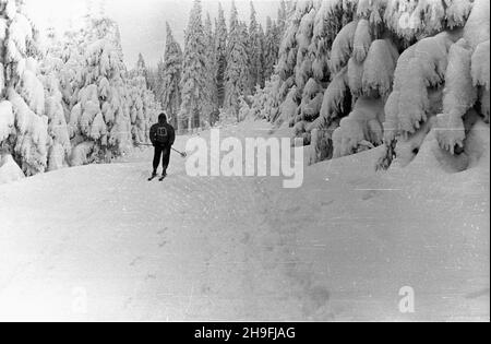 Karpacz, 1948-02-19. W dniach od 18 do 22 lutego odbywa³y siê Mistrzostwa Narciarskie Polski. Nz. bieg zjazdowy rozgrywany na stokach Ma³ej Kopy pod Œnie¿k¹. msa  PAP      Karpacz, Feb. 19, 1948. Poland's Skiing Championship was held on Feb. 18 to 22. Pictured: a downhill race on Mala Kopa at the foot of Sniezka.  msa  PAP