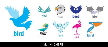 A set of vector Bird logos on a white background Stock Vector