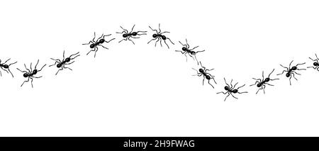 Worker ants trail line flat style design vector illustration isolated on white background. Stock Vector