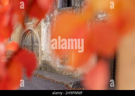 Wooden door entrance to an old typical village house in Karst region of Slovenia on a sunny day. Looking through autumn bushes. Stock Photo