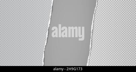 Torn, ripped vertical white and grey paper strips with soft shadow for text. Vector illustration Stock Vector