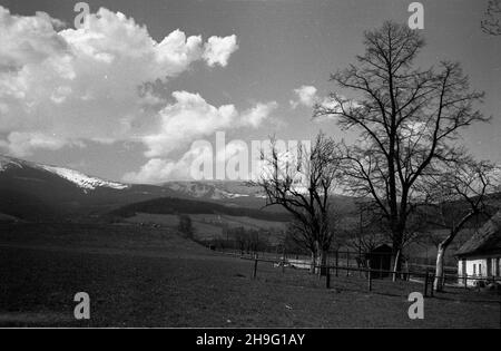 Bierutowice, 1948-04. Krajobraz Karkonoszy. rd  PAP  Dok³adny dzieñ wydarzenia nieustalony.    Bierutowice, April 1948. A landscape in the Karkonosze Mountains.  rd  PAP Stock Photo