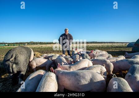 HELEN BROWNING Chief Executive of the Soil Association and organic pig farmer at the Eastbrook farm Bishopstone , UK Stock Photo