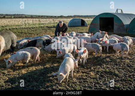 HELEN BROWNING Chief Executive of the Soil Association and organic pig farmer at the Eastbrook farm Bishopstone , UK Stock Photo