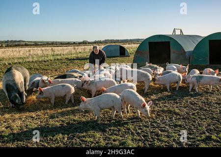 HELEN BROWNING Chief Executive of the Soil Association and organic pig farmer at the Eastbrook farm Bishopstone , UK Stock Photo