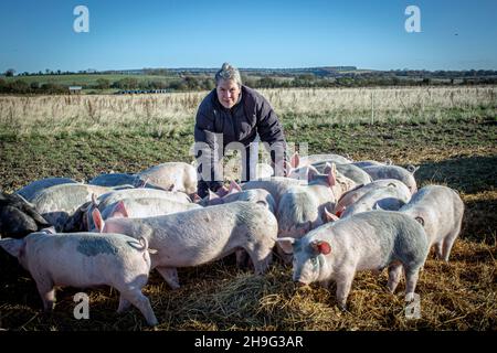 HELEN BROWNING Chief Executive of the Soil Association and organic pig farmer at the Eastbrook farm Bishopstone , UK Stock Photo