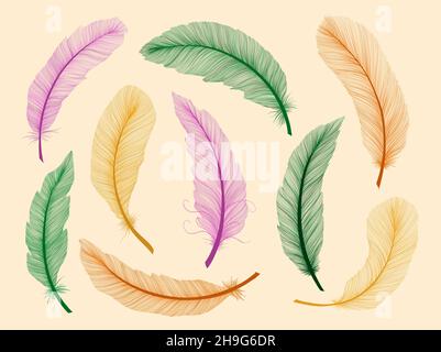 Feather hand drawn sketch realism style. Tribal native american. Boho ...