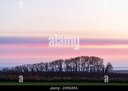 The twilight purple pastel coloured dawn sky over a line of trees and the Thames estuary on a cold winter's morning. Horizon low in the frame. Stock Photo