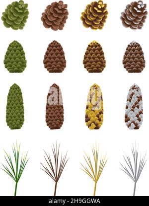 Set of brown and green cones of coniferous pine, spruce or cedar in gold sequins, with silver paint, fir needles or branch. Festive decoration for New Year, Christmas and design. Vector illustration Stock Vector