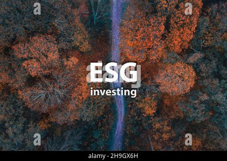 ESG Sustainable environmental Investing concept. Autumn forest Top View landscape. Sustainable investing ESG Technology of renewable resources to reduce pollution and carbon emission of Nature. Stock Photo