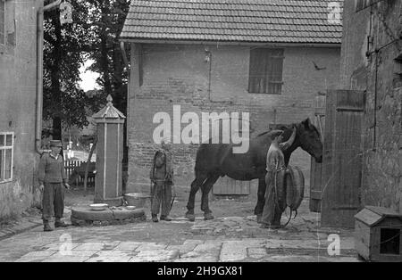 Zalipie, 1948-07. Wieœ, w której w 1945 r. osiedli³a siê czêœæ Platerówek, tzn. ¿o³nierek 1 Samodzielnego Batalionu Kobiecego im. Emilii Plater 1 Dywizji Piechoty im. Tadeusza Koœciuszki. Do 1947 r. wieœ nosi³a nazwê Platerowo.  bb  PAP    Dok³adny dzieñ wydarzenia nieustalony.      Zalipie, July 1948. The village in which a number of women soldiers of the Emilia Plater 1st Independent Women's Battalion of the Tadeusz Kosciuszko 1st  Infantry Division settled. Until 1947 the village was called Platerowo.   bb  PAP Stock Photo