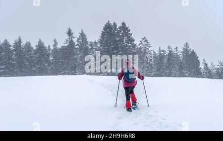 nice senior woman snowshoing in heavy snow fall in a winterly forest and moor landscape in the Bergenzer Wald area of Vorarlberg, Austria Stock Photo