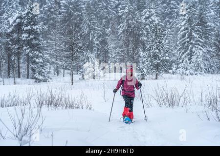 nice senior woman snowshoing in heavy snow fall in a winterly forest and moor landscape in the Bergenzer Wald area of Vorarlberg, Austria Stock Photo